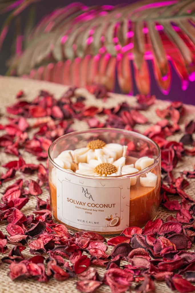 Solvay Coconut Candle
